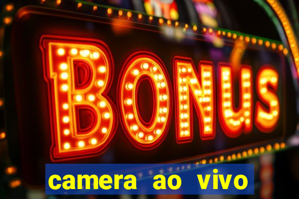 camera ao vivo terminal vila nova cachoeirinha